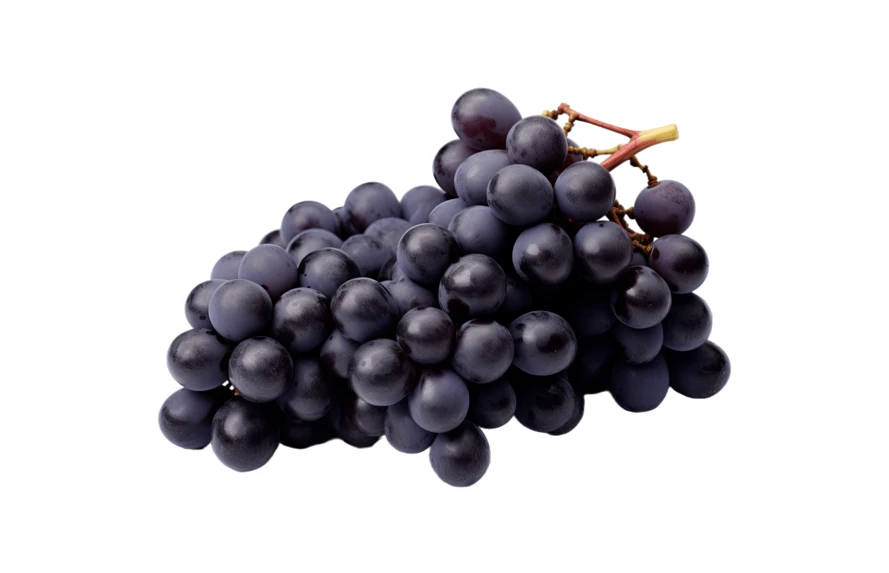 Fresh bunch of black grapes isolated on white background