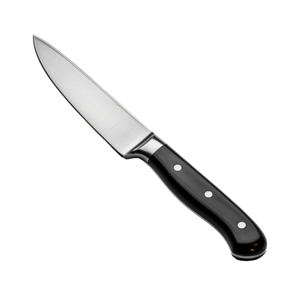 Professional stainless steel paring knife isolated on white