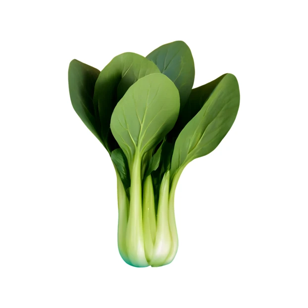 Fresh green bok choy isolated on white background