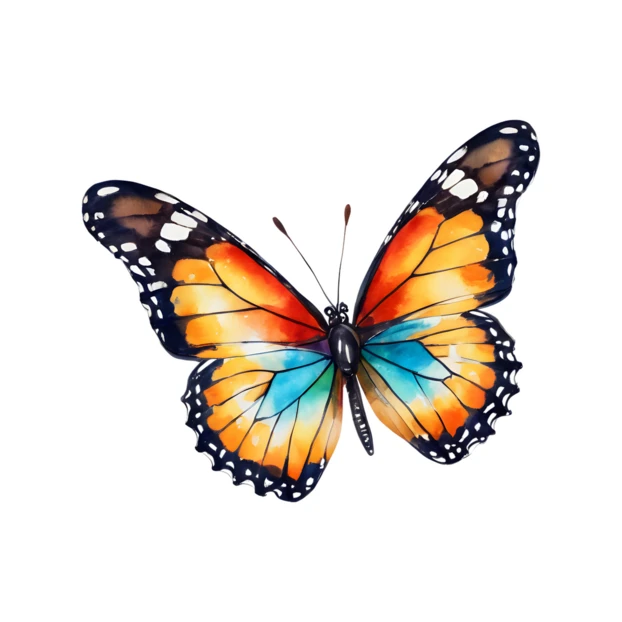 Colorful watercolor butterfly illustration isolated on white background