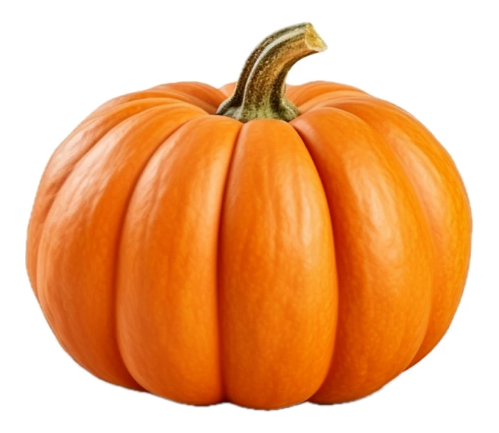 Single orange pumpkin isolated on white background