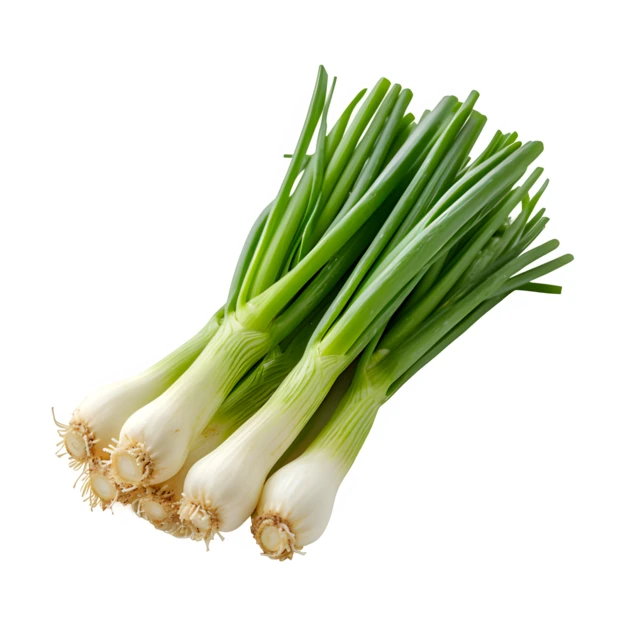 Fresh bunch of green onions isolated on white background