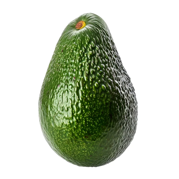 Whole green avocado isolated on a white background